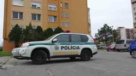 Policie na místě činu.