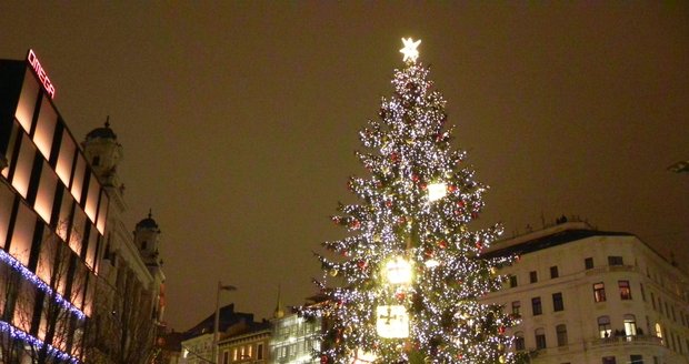 Vánoční smrk loňských Vánoc na náměstí Svobody.