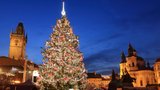 Slavnostní rozsvícení vánočního stromečku nebude. Praha se bojí teroristů