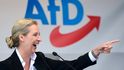 Alice Weidelovou chce AfD za kancléřku.