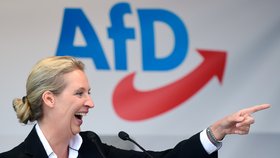 Alici Weidelovou chce AfD za kancléřku.