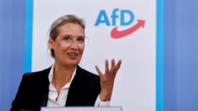 Alice Weidelovou chce AfD za kancléřku.