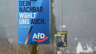 Hesla se závanem třetí říše. AfD má přesto nakročeno k první zemské vládě Hesla se závanem třetí říše. AfD má přesto nakročeno k první zemské vládě