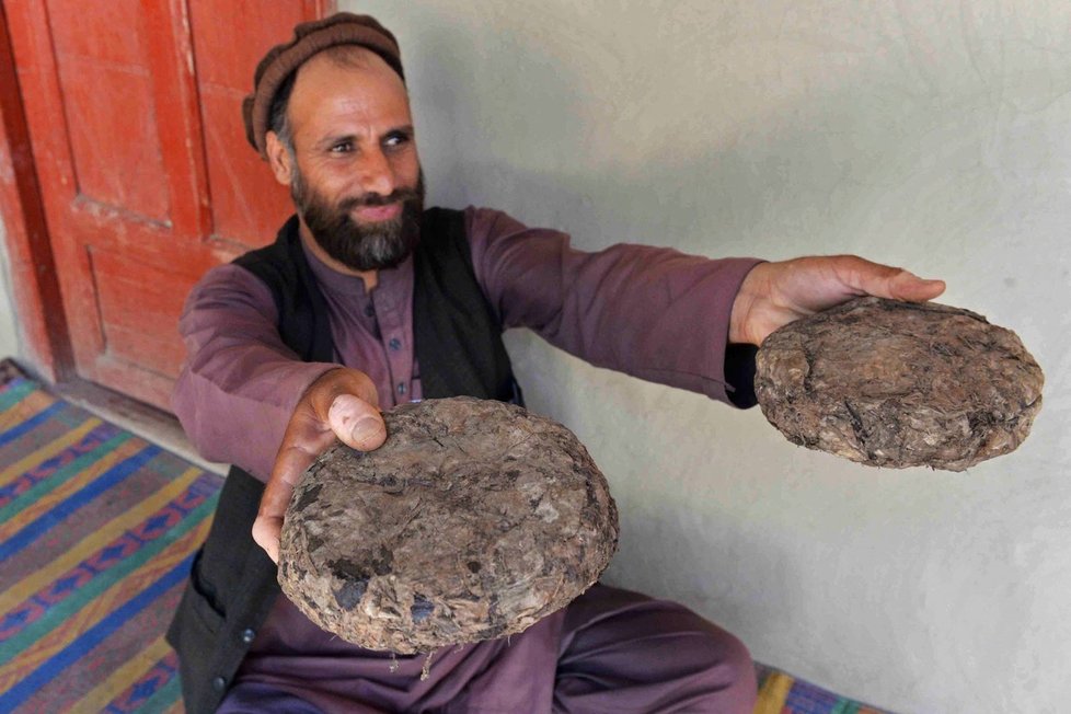 Opium je zásadním zdrojem příjmů pro afghánské vesničany i Tálibán.