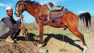 Soužení s Kavalírem: Za krásami afghánské přírody na hřbetě poněkud svérázného koně