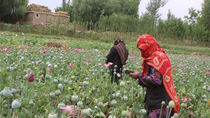 Produkce opia v Afghanistánu vzrostla o 87 procent - ilustrační snímek.