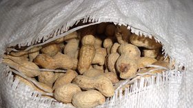 Příklady dodávek zamořených aflatoxiny, které v minulosti zadržela Státní zemědělská a potravinářská inspekce (SZPI).