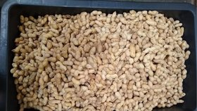 Příklady dodávek zamořených aflatoxiny, které v minulosti zadržela Státní zemědělská a potravinářská inspekce (SZPI).