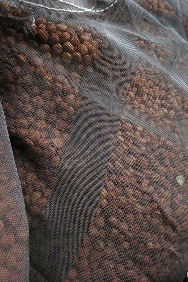 Příklady dodávek zamořených aflatoxiny, které v minulosti zadržela Státní zemědělská a potravinářská inspekce (SZPI).