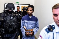 Afričan jde do vězení za znásilnění dívky na Litoměřicku: Soud mu zpřísnil trest
