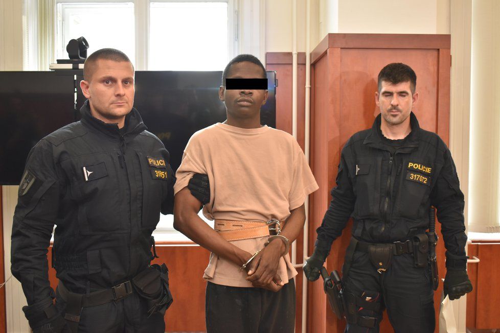 Cizinec obviněný ze znásilnění dívky (16) u Terezína.
