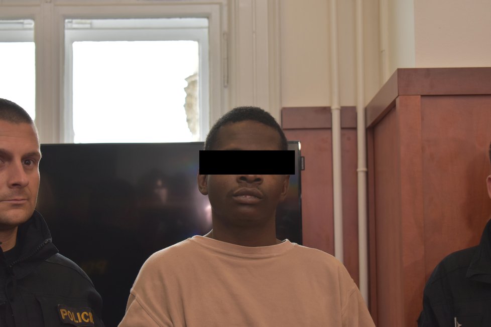 Afričan odsouzený na za znásilnění dívky na Litoměřicku