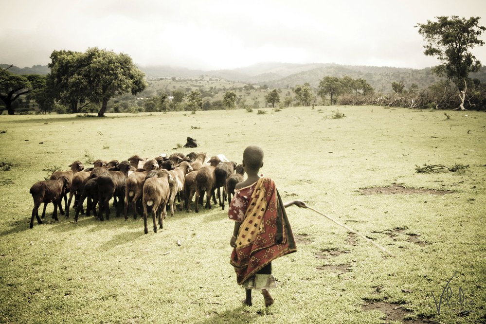 Masajové v africké Keni.