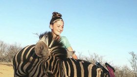 Zebra padla v Africe, Aryanna se podílela na jejím lovu.