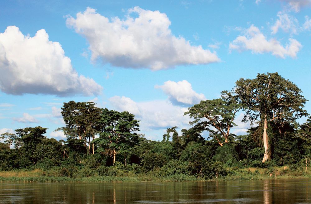 Dobrodružství na řece Sangha aneb Ze Středoafrické republiky do Konga na nafukovacím člunu