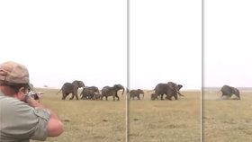 Hrůzné video: „Miř mezi oči,“ radili si lovci slonů. Pak se role obrátily!