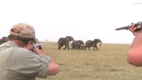 VIDEO: »Miř mezi oči, « říká jeden lovec druhému během honu na slony v Namibii