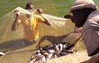 Snímky z Afriky, kde místní zemědělci čile praktikují agrolesnictví a snaží se zachraňovat krajinu 