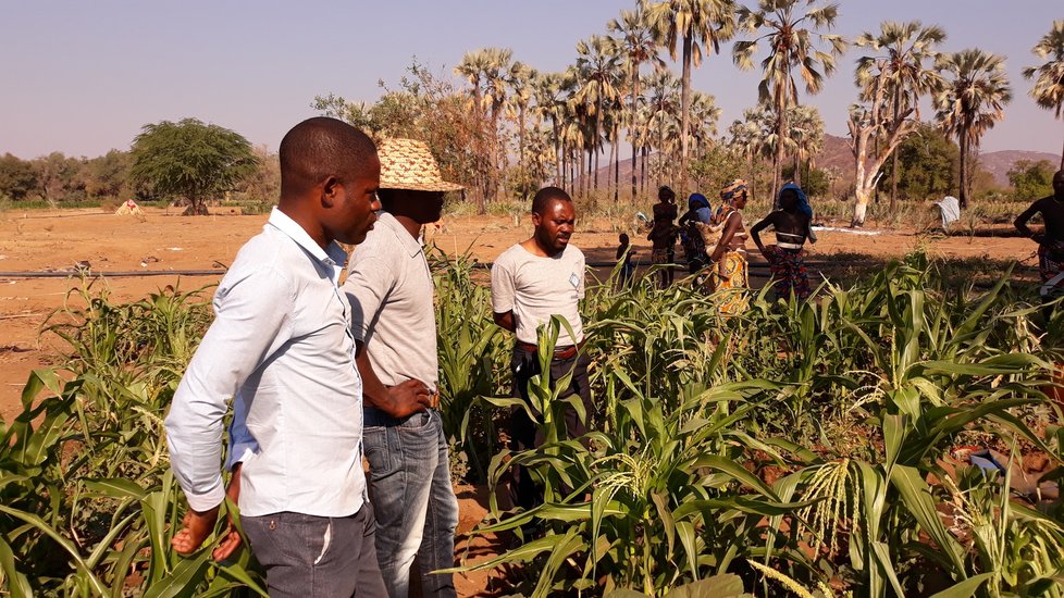 Snímky z Afriky, kde místní zemědělci čile praktikují agrolesnictví a snaží se zachraňovat krajinu