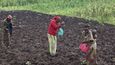 V Burundi převládá extenzivní zemědělství s minimální produktivitou