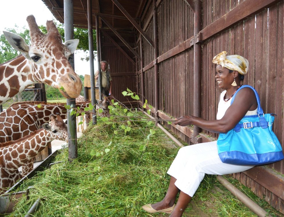 Některá africká zvířata viděla Maudy na vlastní oči teprve v Zoo Dvůr Králové, kde během léta předváděla sochání.