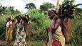 Typické nůše ženy plní dřevem, kořínky i maniokem