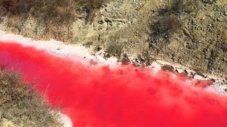 Záhadné červené jezero Natron v Tanzanii mumifikuje vše živé 