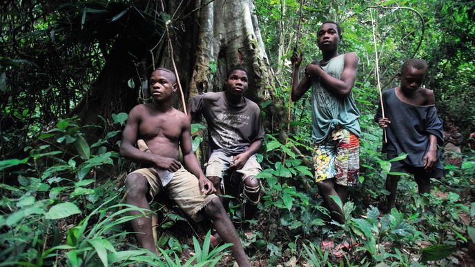 Pygmejové při lovu věří instinktu a také využívají sluch a čich, tedy to, co lidé z civilizace už neumí v plné míře použít