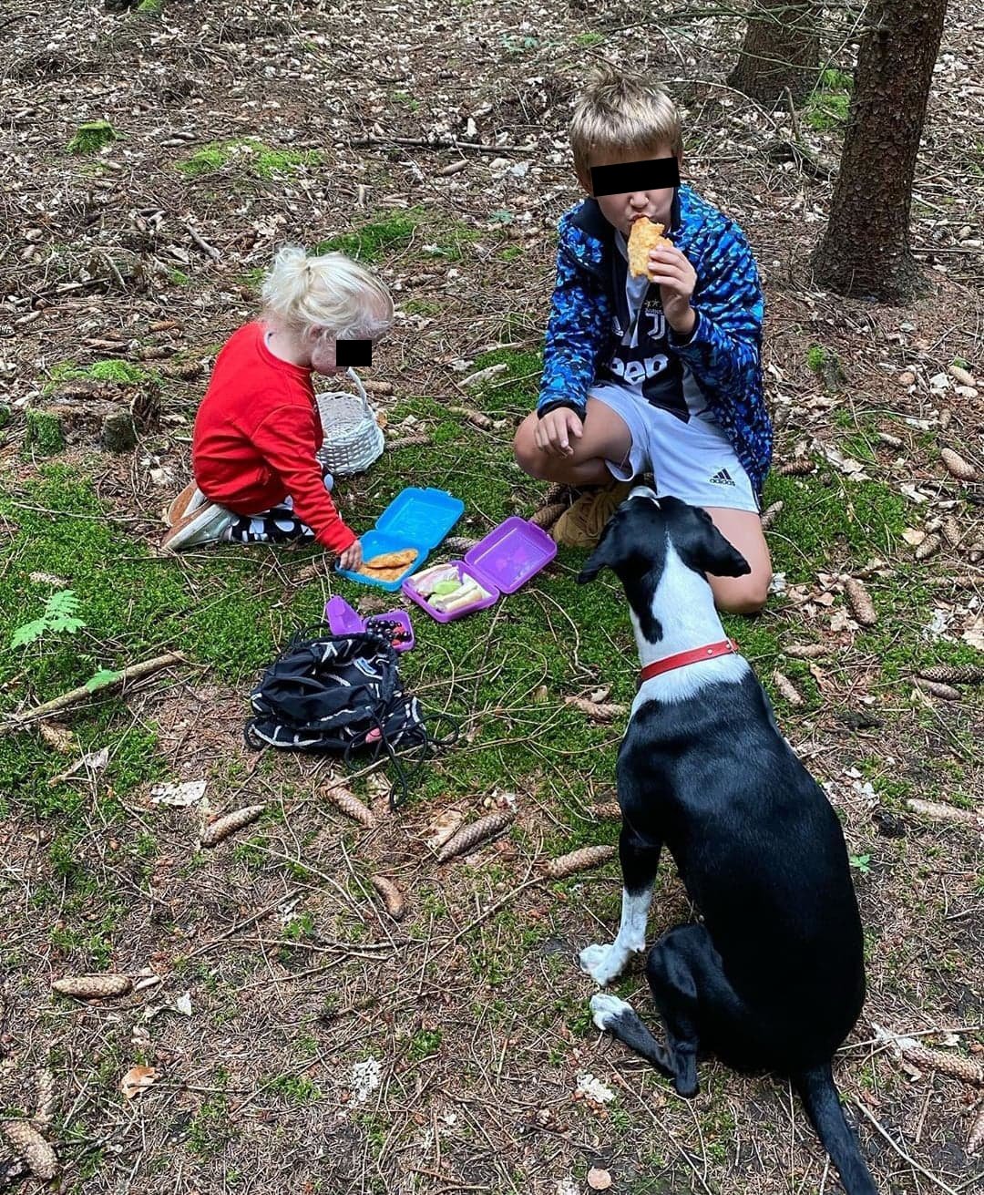 Agáta Hanychová vyrazila s dětmi a psem na houby.