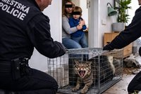 Kočku v Břeclavi posedlý „zlý démon": Rodina před ní utekla z bytu!