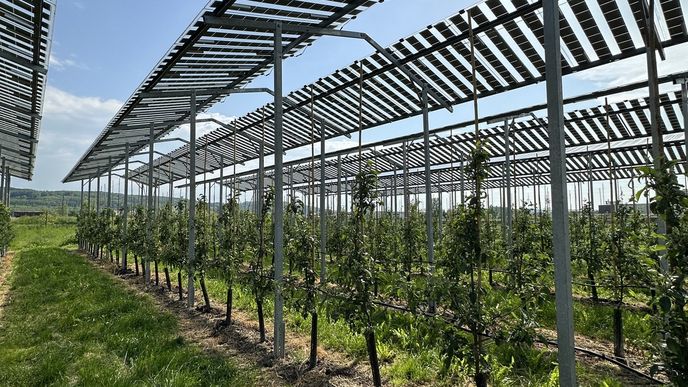 Agrovoltaika, která kombinuje solární panely a pěstování plodin, je novým trendem.