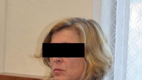 Soud zprostil Lenku Klimešovou žaloby, která ji vinila ze zanedbání údržby lávky, a tím pádem jejího zřícení v době, kdy se na ní fotili svatebčané