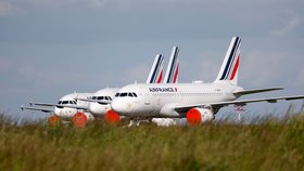 Letadla společnosti Air France na pařížském letišti Charles de Gaulle.