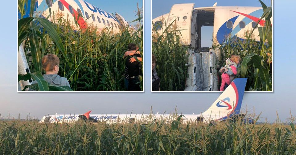 Letoun Airbus A 321 s 234 lidmi na palubě nouzově přistál v kukuřičném poli.