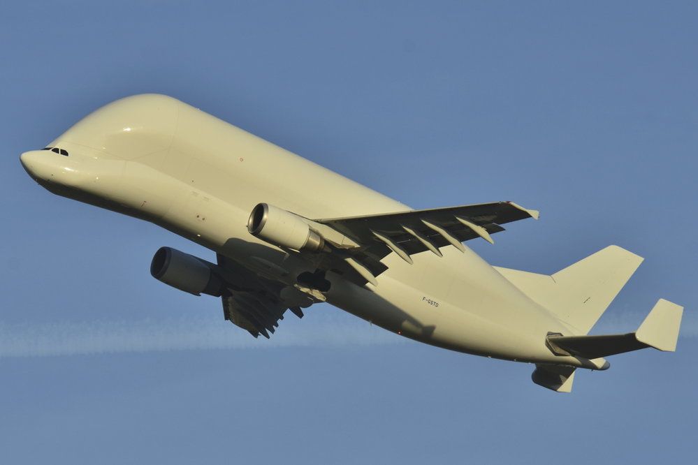 Airbus Beluga XL připomíná vzhledem běluhu severní