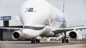 Speciální transportní letoun Airbus Beluga XL Speciální transportní letoun Airbus Beluga XL