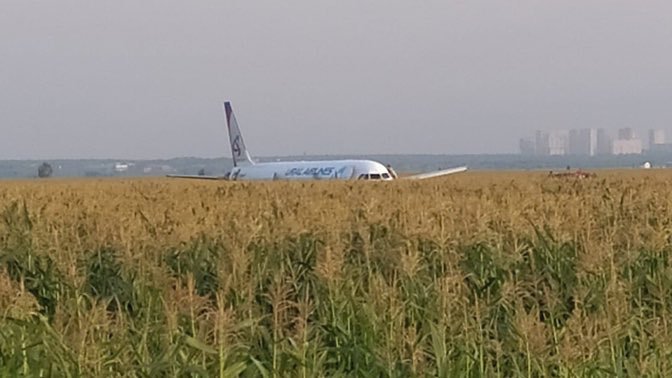 Airbus přistál v kukuřici.