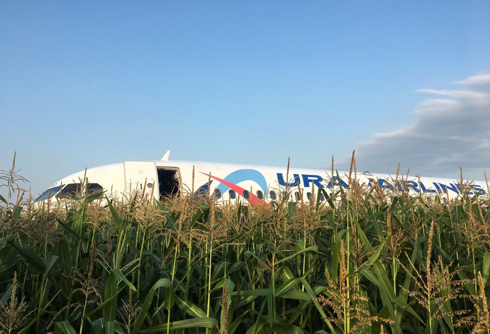 Airbus přistál v kukuřici.