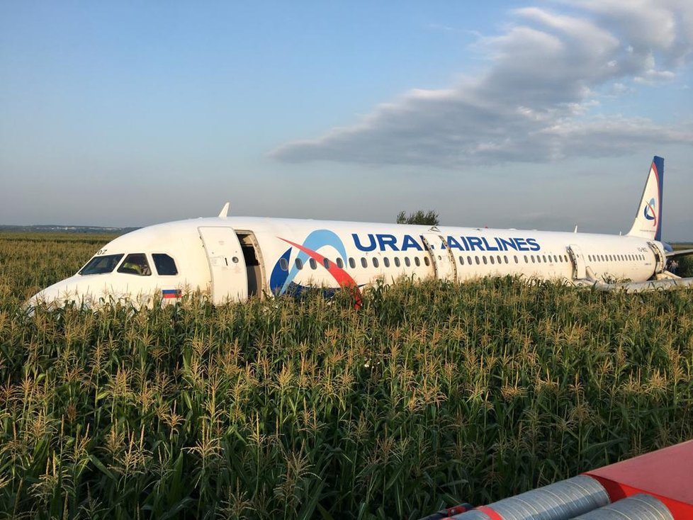 Airbus přistál v kukuřici.