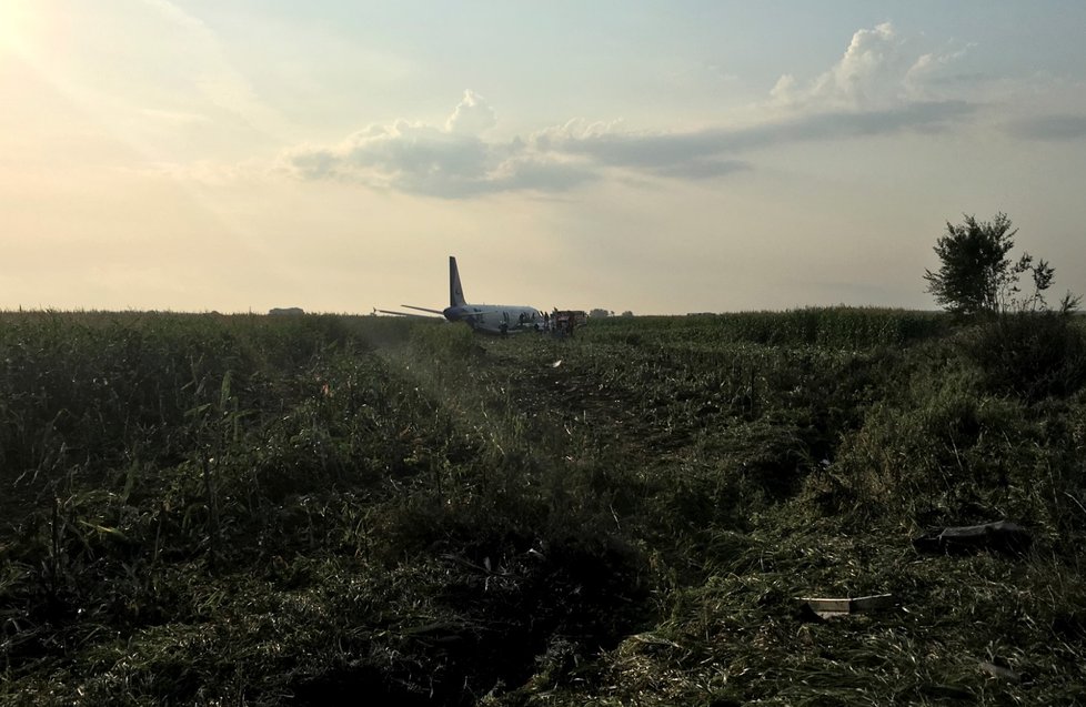 Airbus přistál v kukuřici.