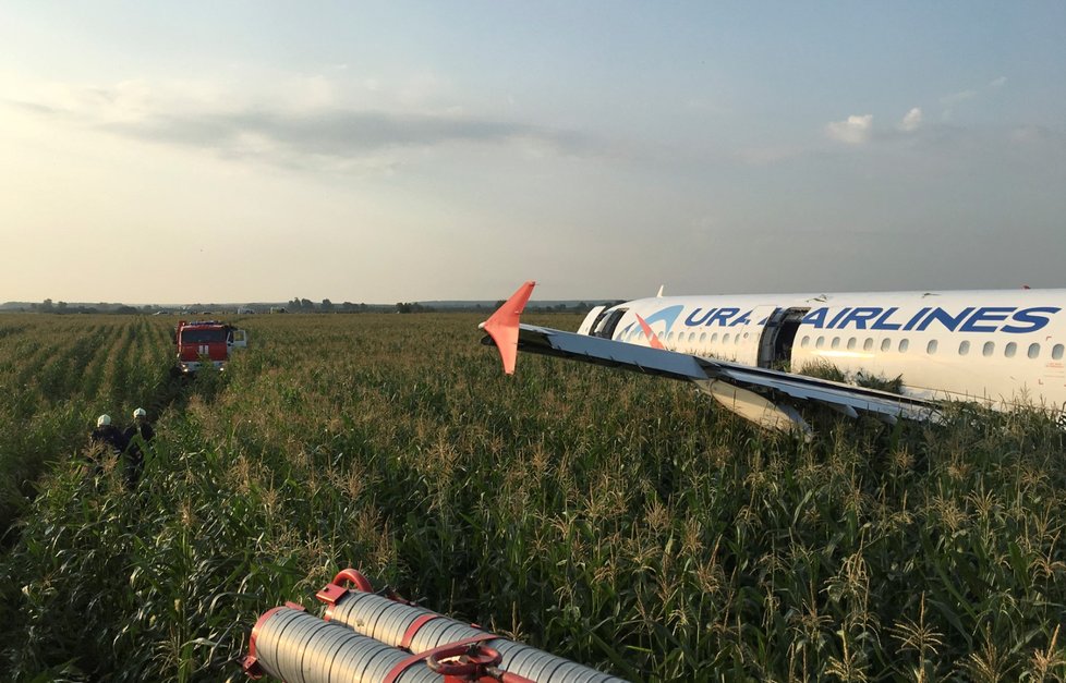 Airbus přistál v kukuřici