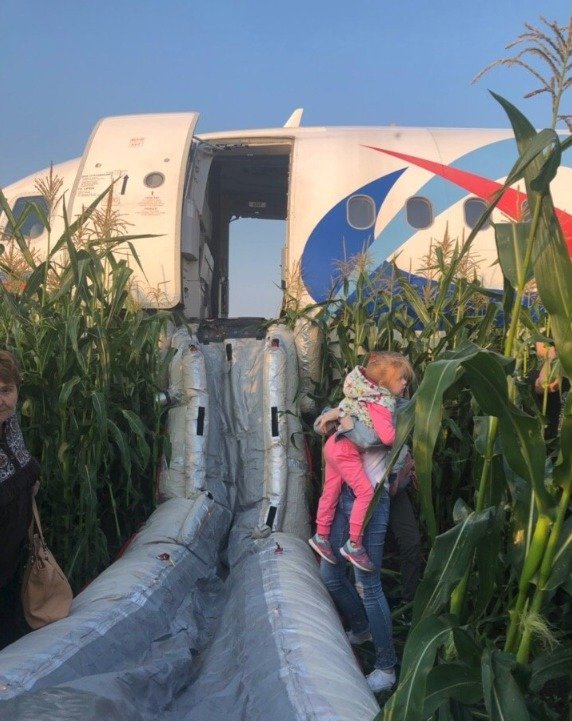 Airbus přistál v kukuřici.