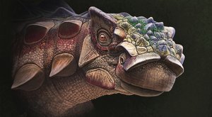 Nový objev: Obrněný dinosaurus