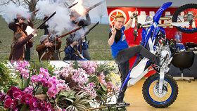 Tipy na víkend: Extrémní krása orchidejí, výročí krvavé bitvy i přehlídka motorek