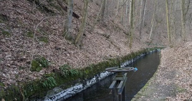 Ideální tip na výlet pro milovníky přírody, kteří rádi omrknou i zajímavý technický unikát, je Weisshuhnův kanál u Hradce nad Moravicí.