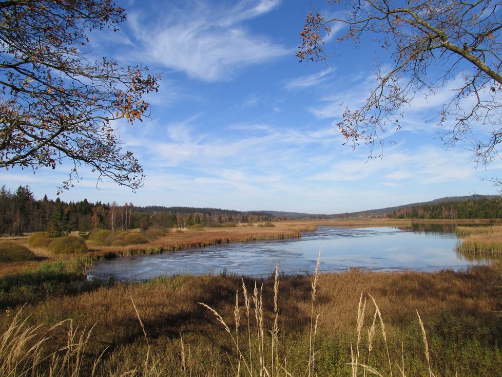 Padrťské chovné rybníky jsou jedním z největších turistických lákadel středních Brd.