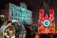 Tipy na víkend: Signal Festival v Praze! Začínají výlovy, přijďte na mašinky