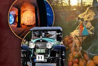 Tipy na víkend: Dýňobraní! Festival světla v Brně i Pražská noblesa