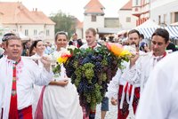 Tipy na víkend: Vinobraní jsou tady! Závody veteránů, koně v akci i hasičská fontána