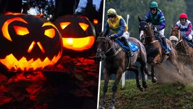 Tipy na víkend: Velká pardubická! Dýně, sport, posvícení i Večerníček na poslední chvíli